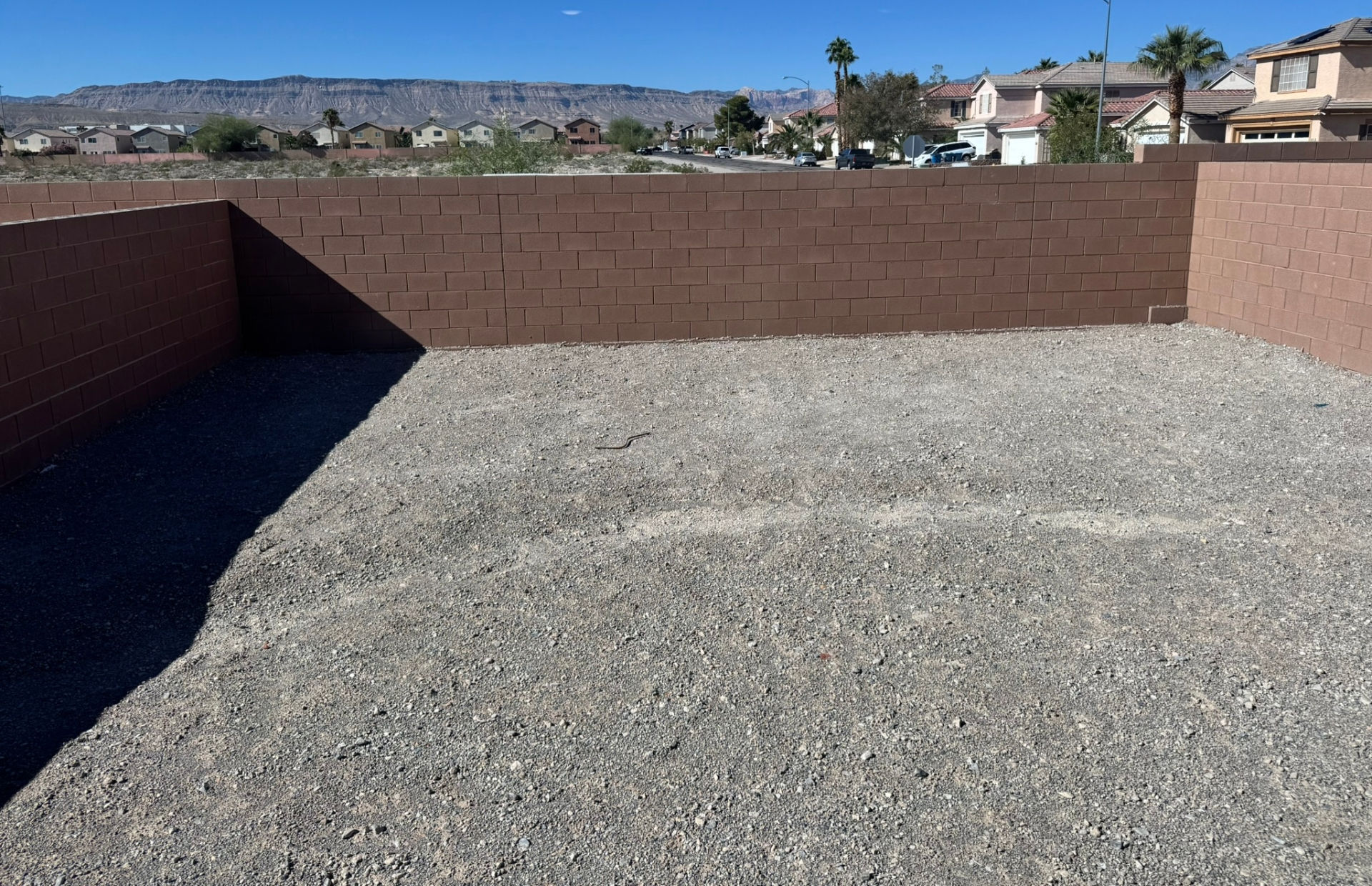 Tenaya Springs photo 2