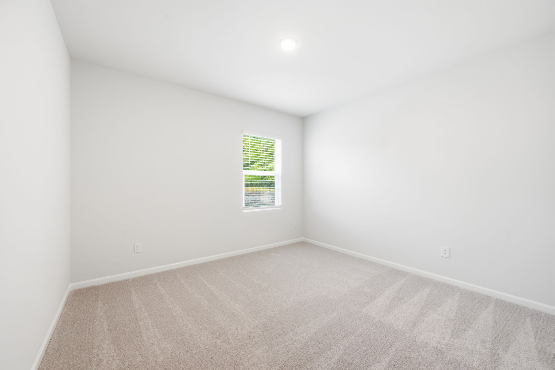 Grand Arbor photo 6