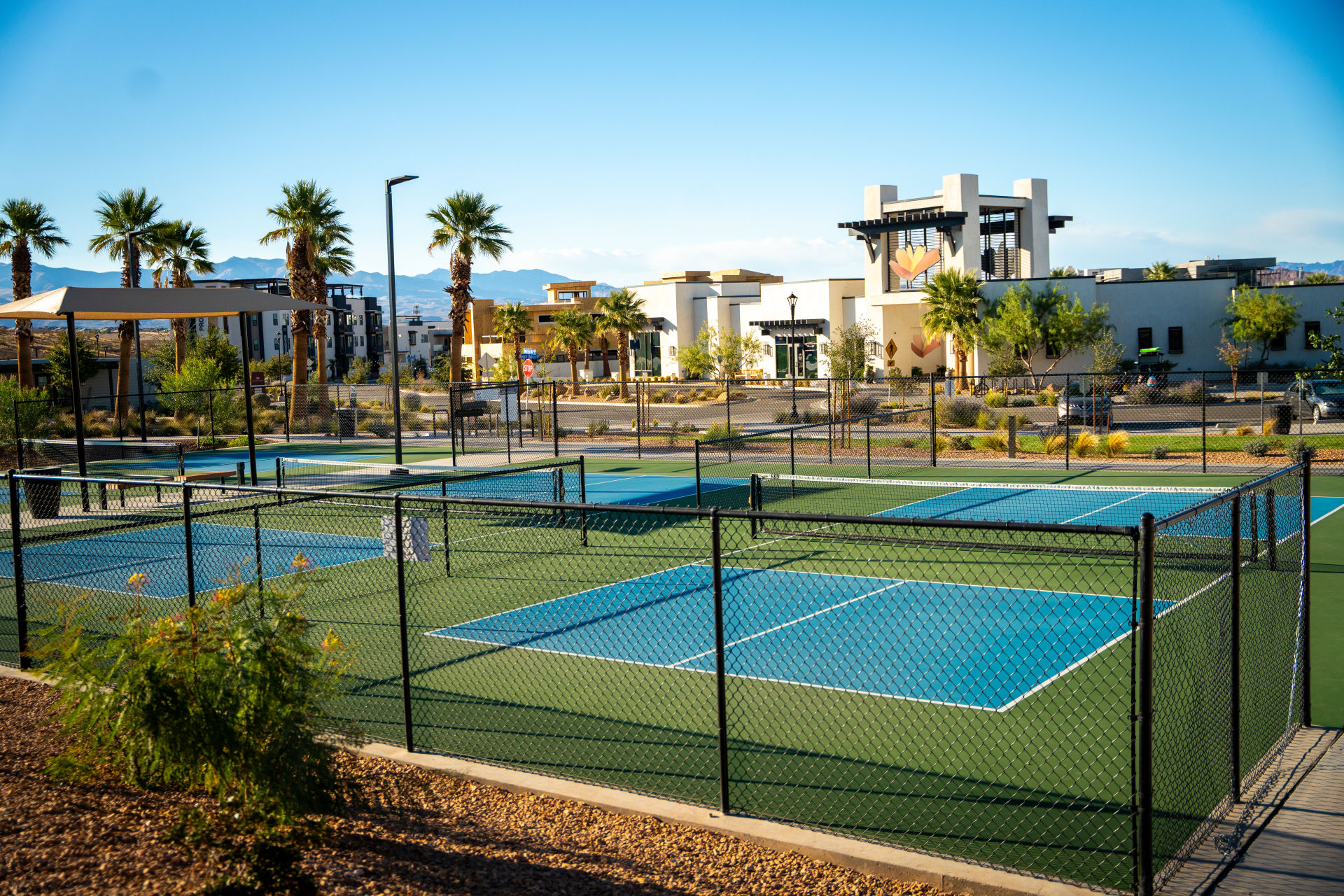 Ironwood Flats At Desert Color photo 6