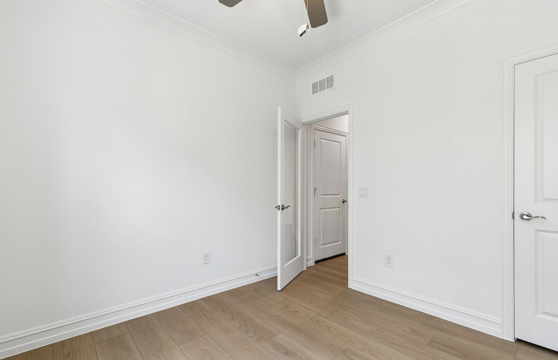 Ribbonwood photo 4