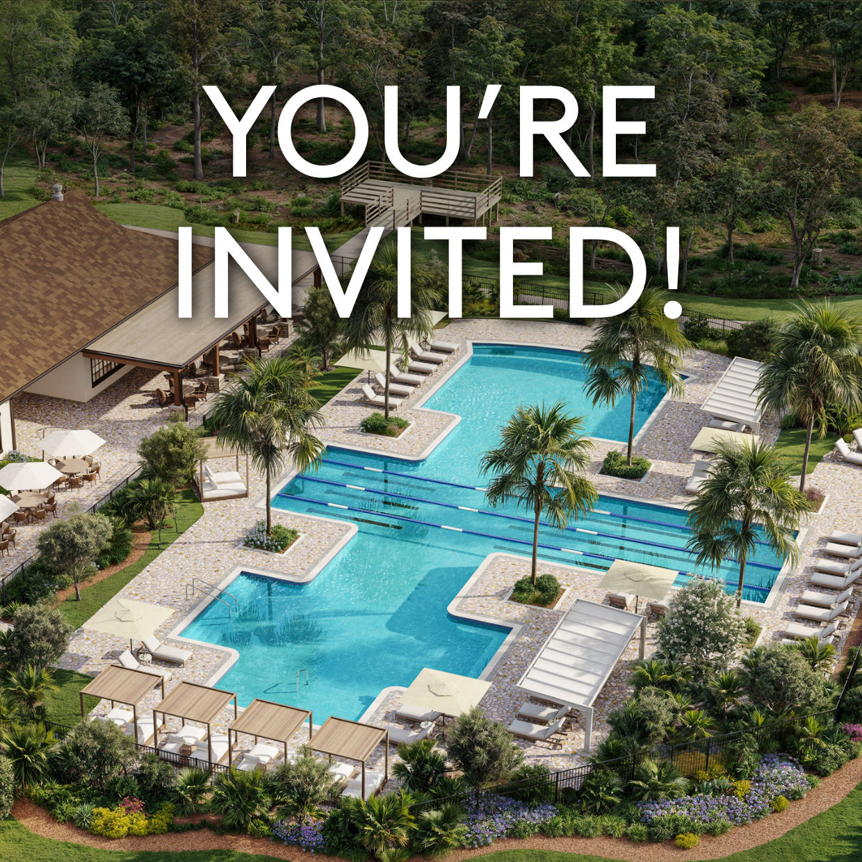 Amenity Grand Opening