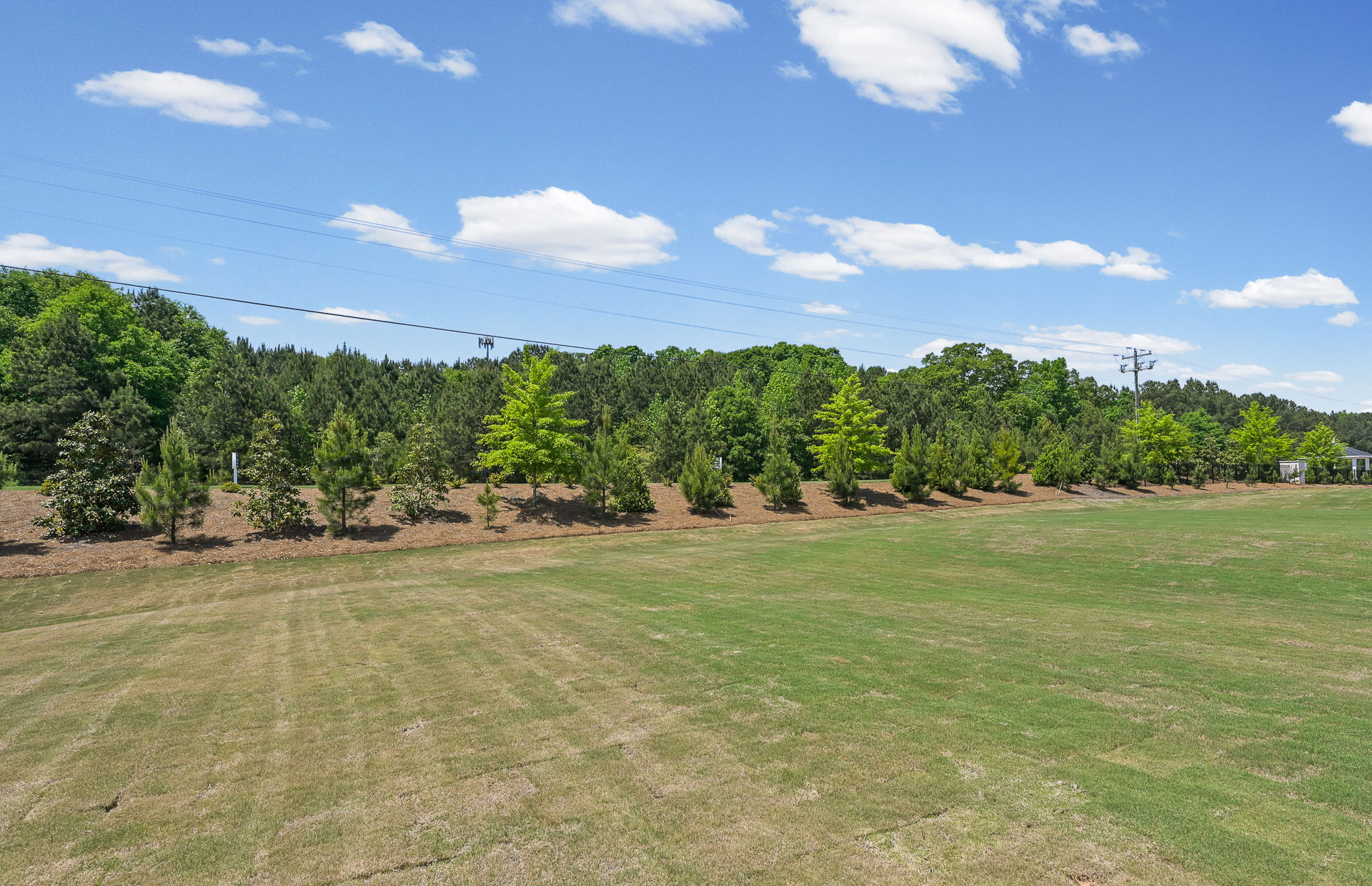 Overland photo 5