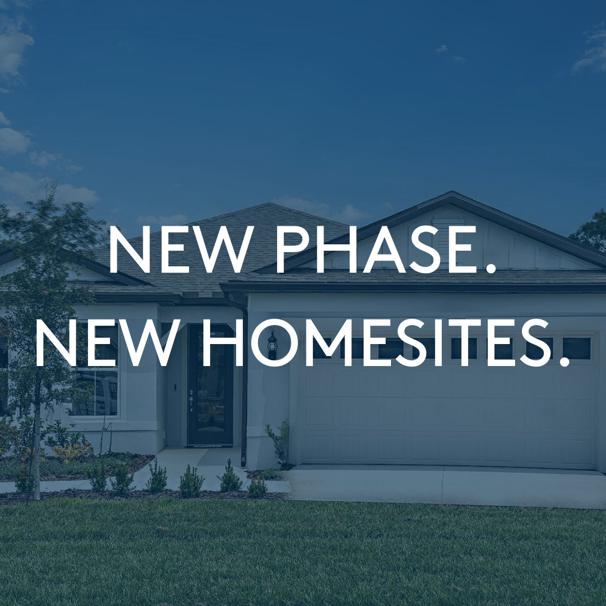 New Phase Now Selling