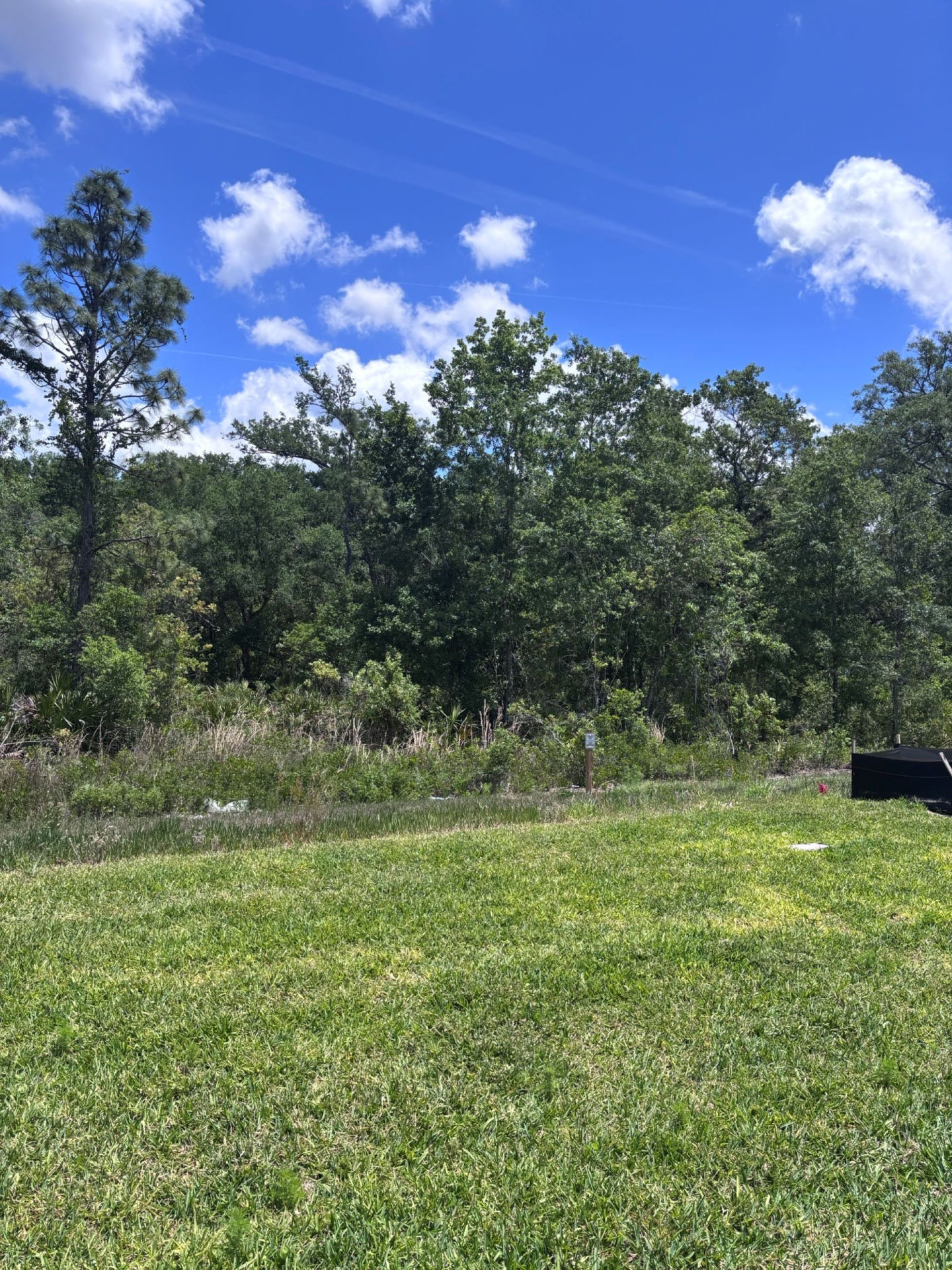Del Webb River Reserve photo 4