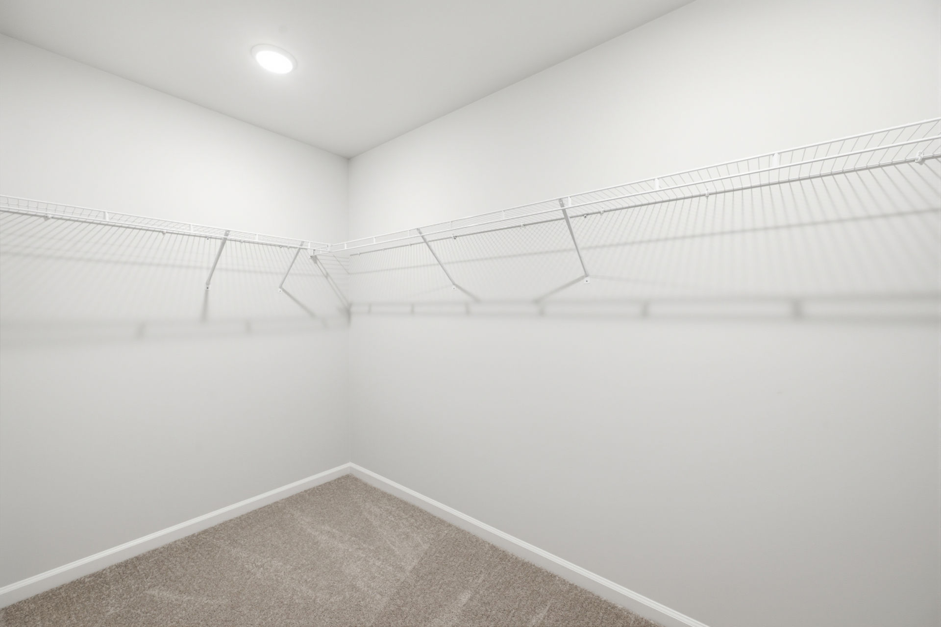 Grand Arbor photo 3