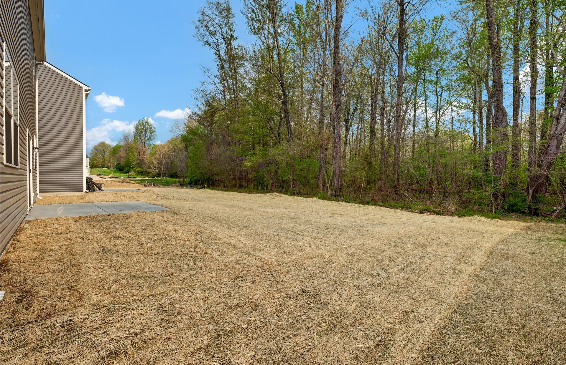 Park Ridge photo 4