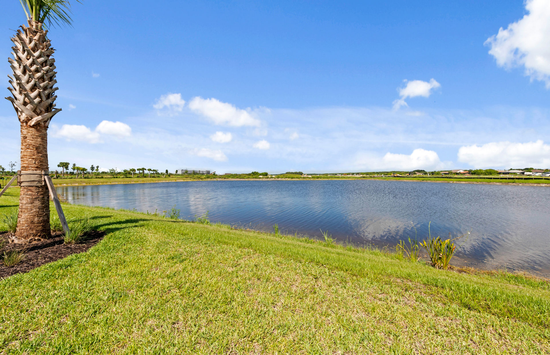 Del Webb Naples photo 2