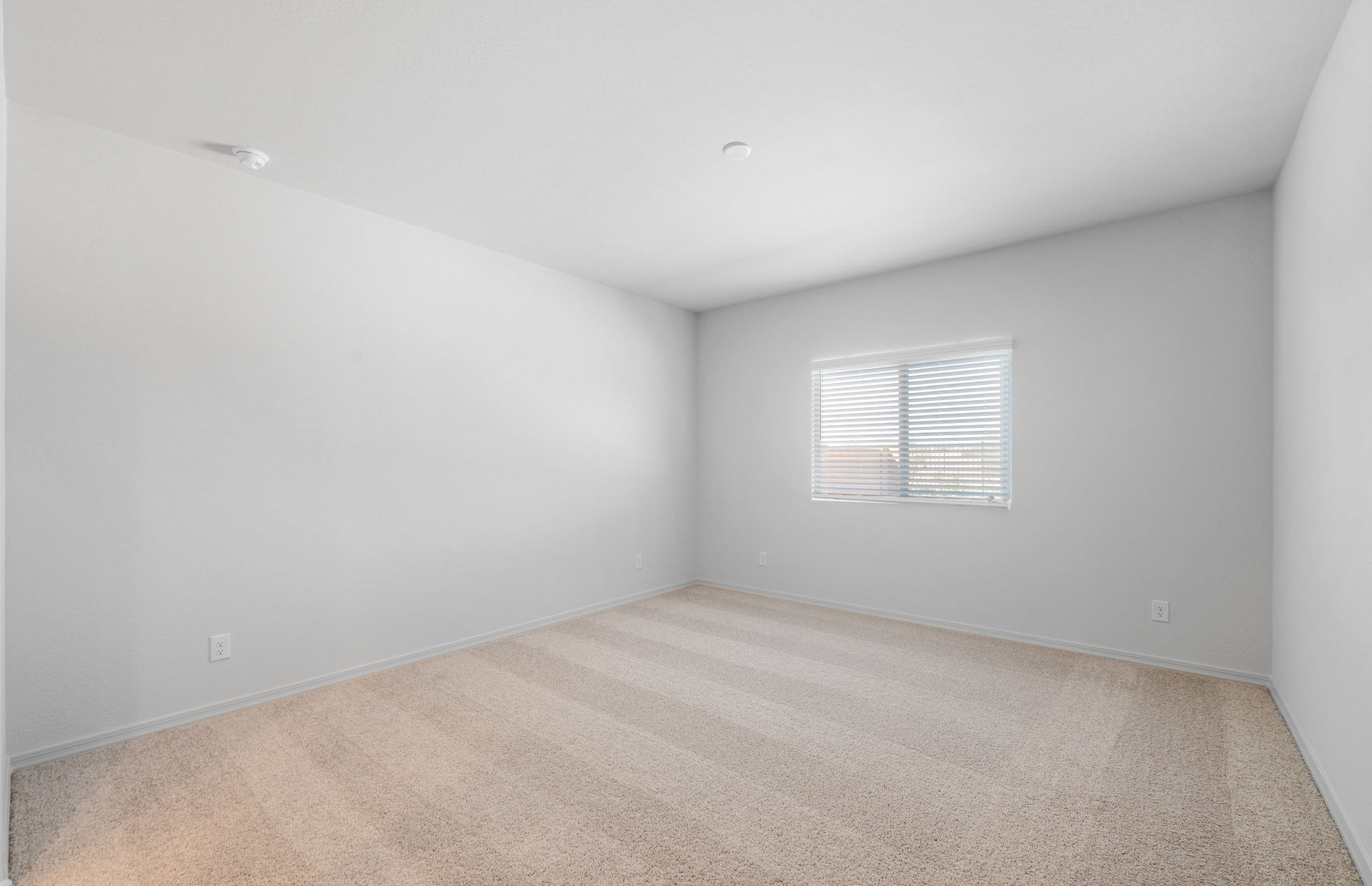Hayden Estates photo 4