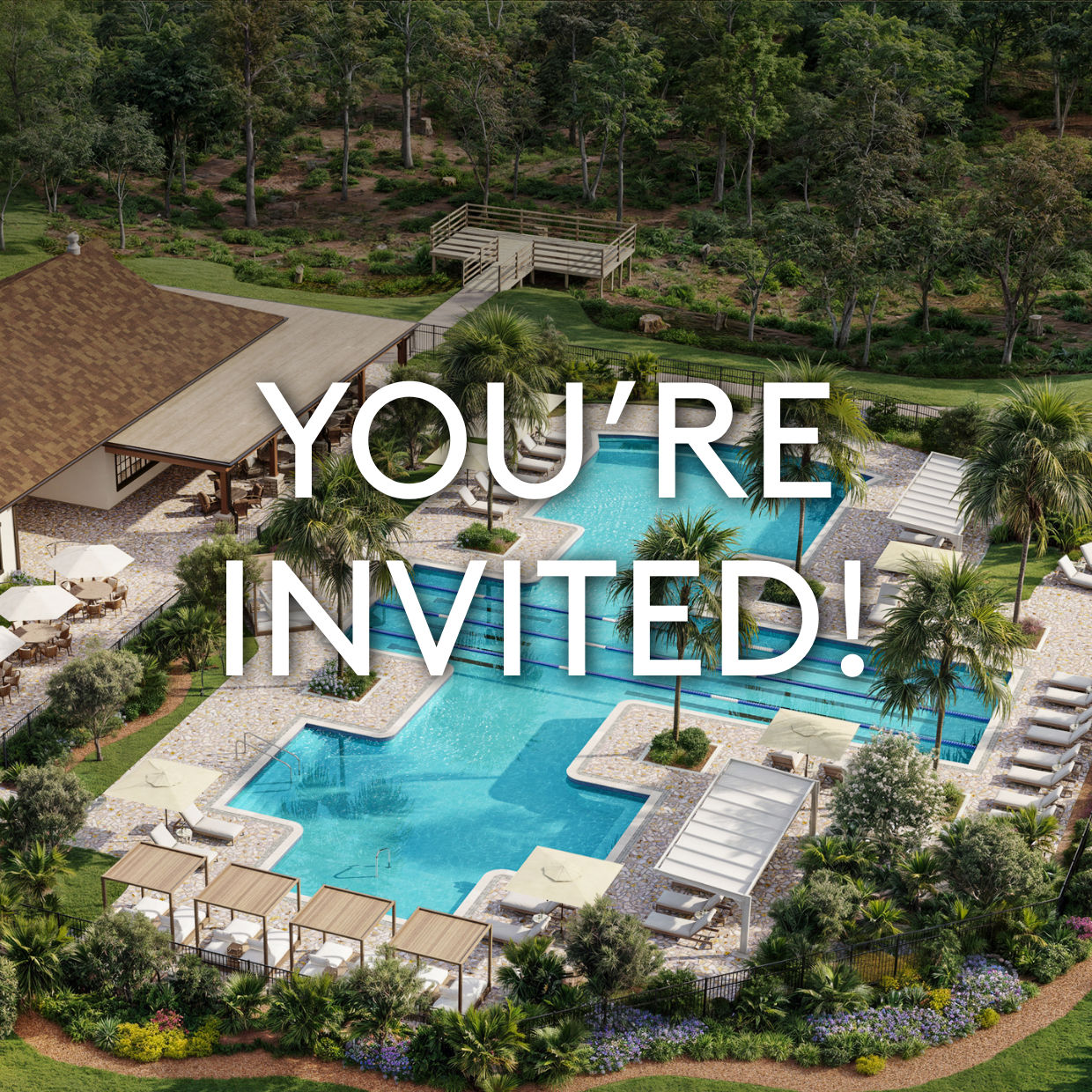 Amenity Grand Opening
