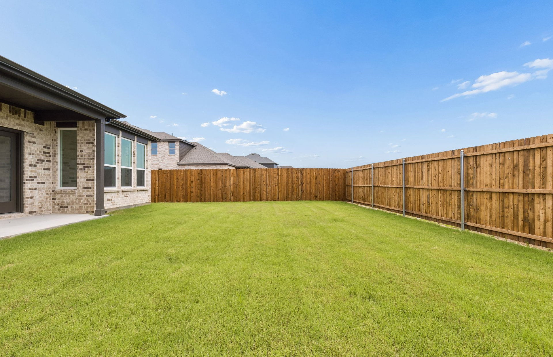 Ribbonwood photo 2